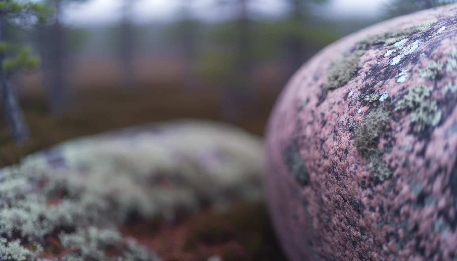 Материнский сейд — деталь обнимающего силуэта каменного валуна