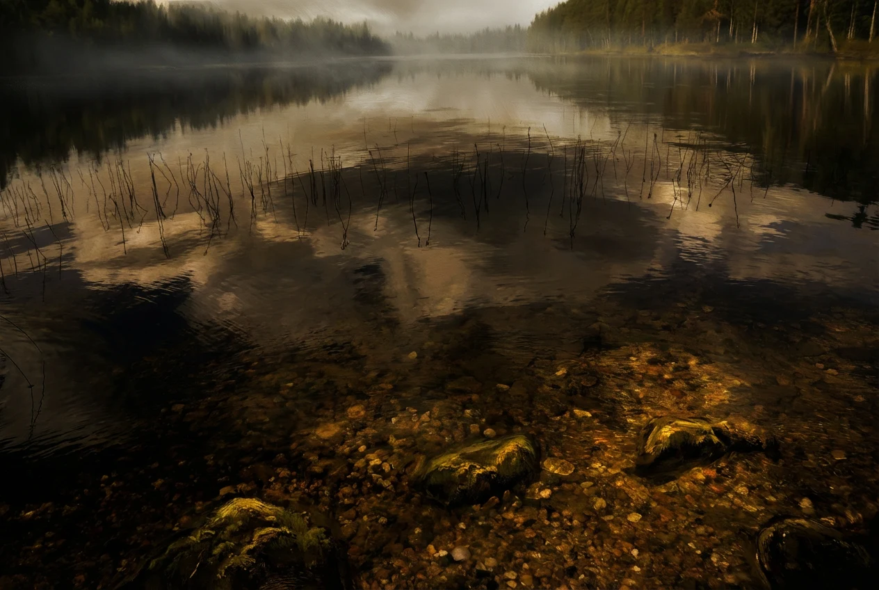 Аленушкино озеро — лесной водоём