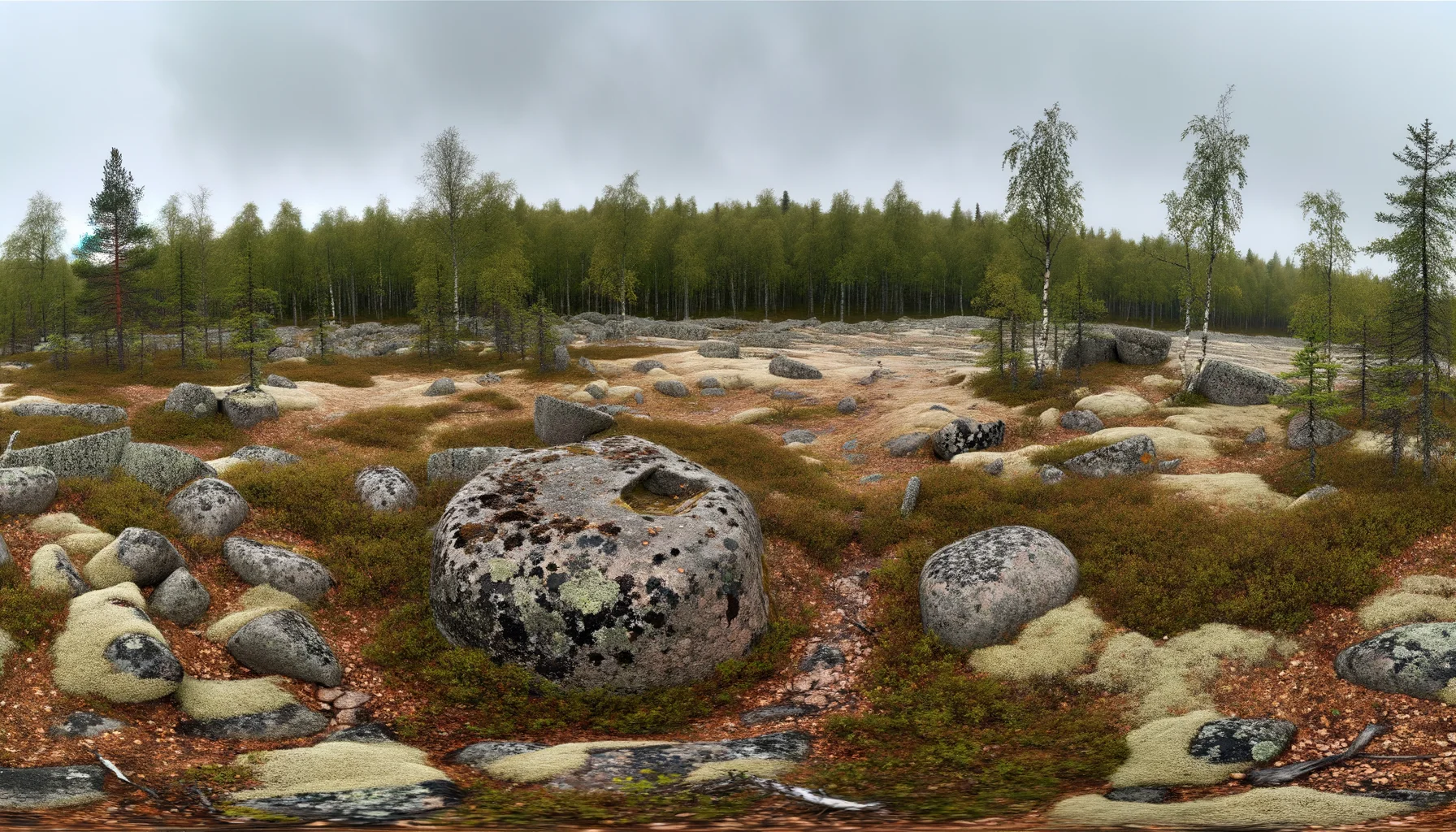 Сейд Бегемот — общий вид ледникового валуна на Воттовааре