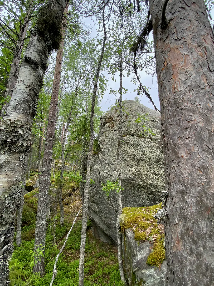 Камень Хозяина среди карельского леса