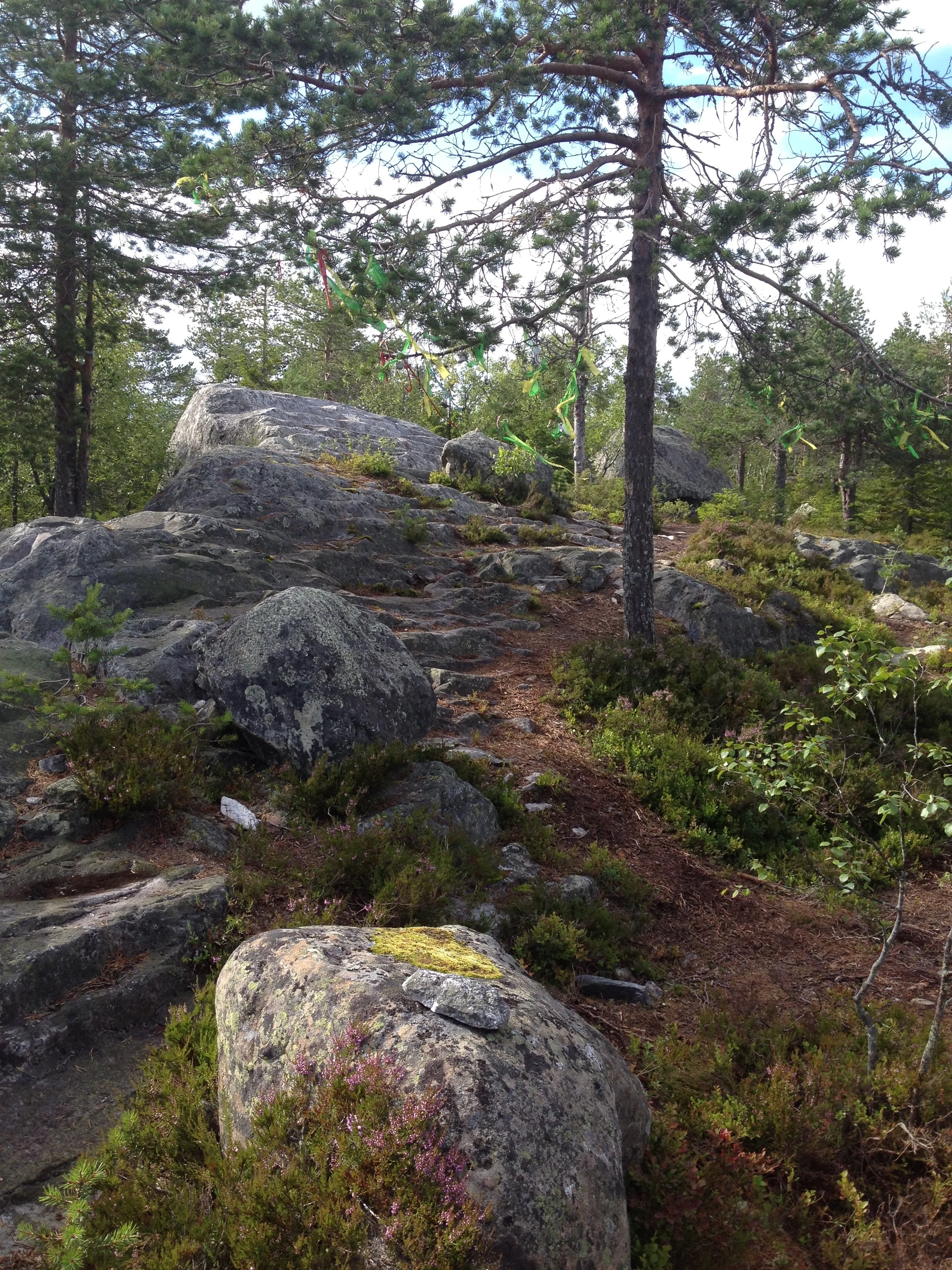 Лестница в небо