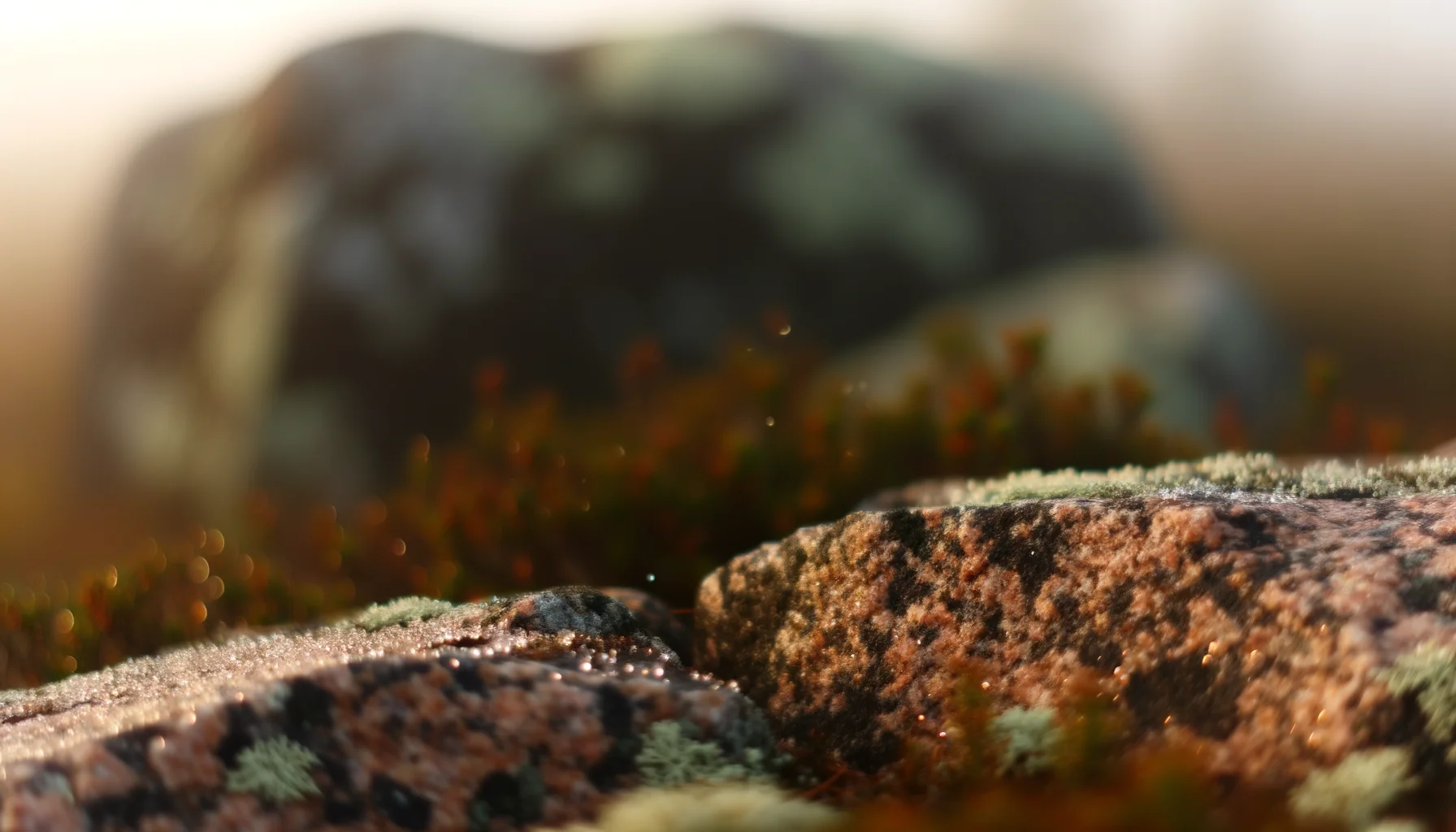 Сейд Радости — золотистый камень с вкраплениями слюды на Воттовааре