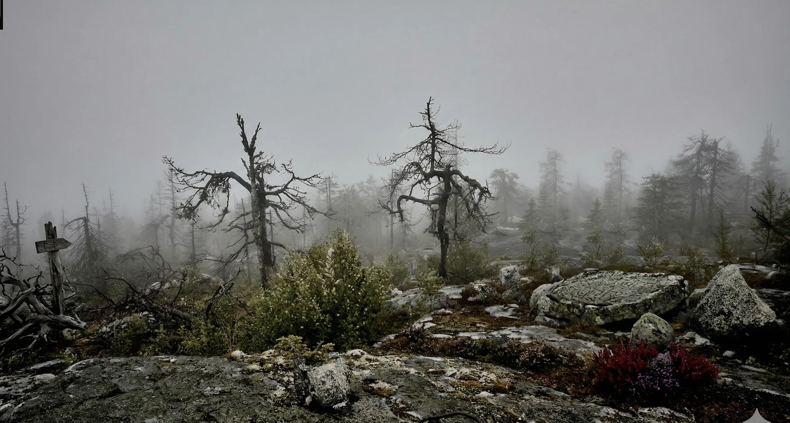 Мёртвый лес