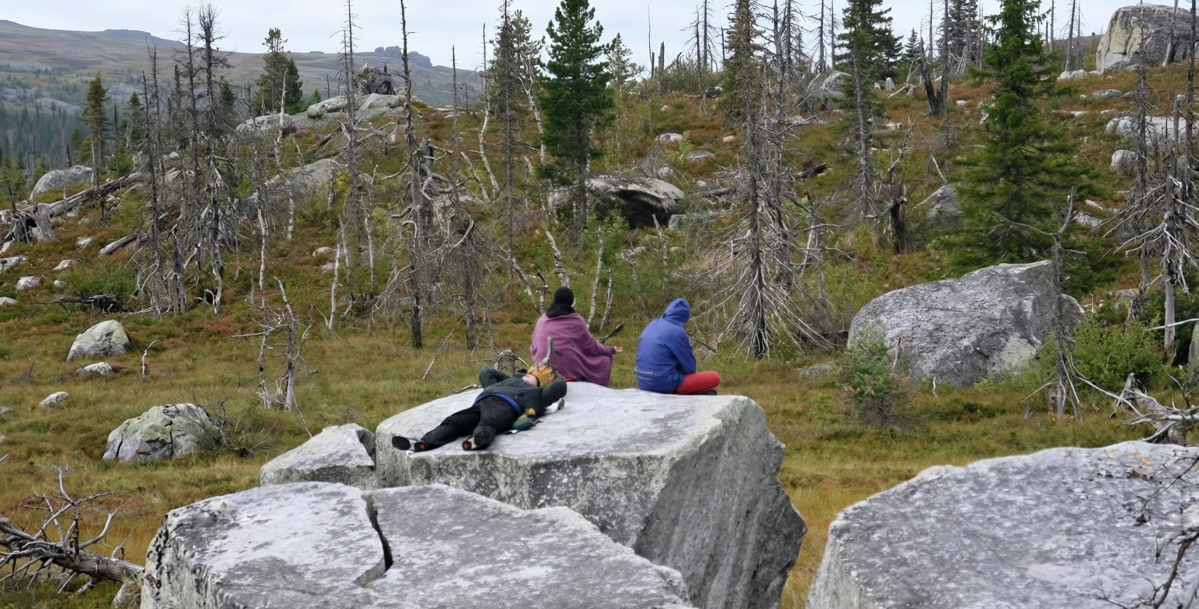 Поверхность сейда: лишайники возрастом несколько сотен лет