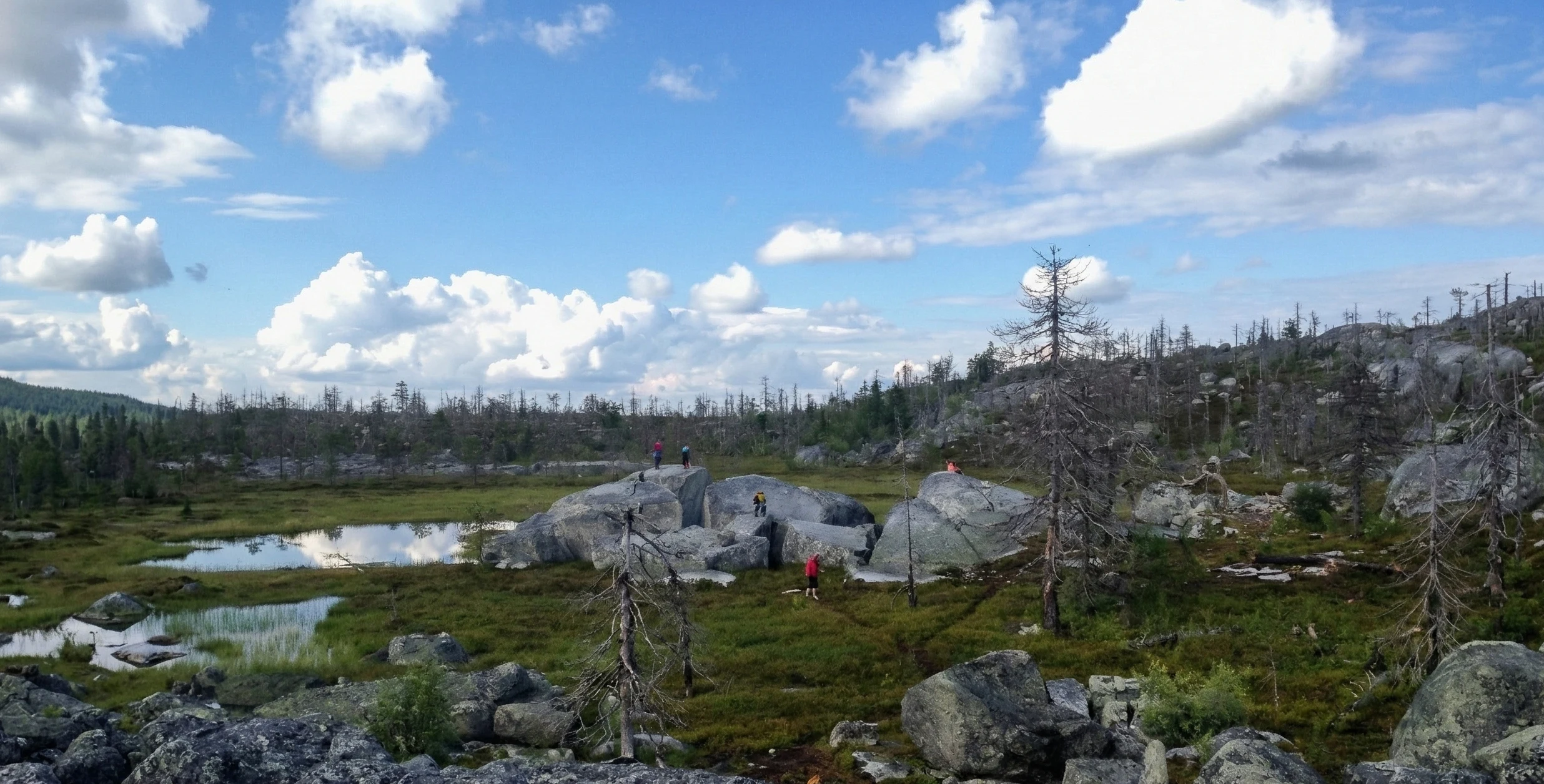 Стена Трансформации