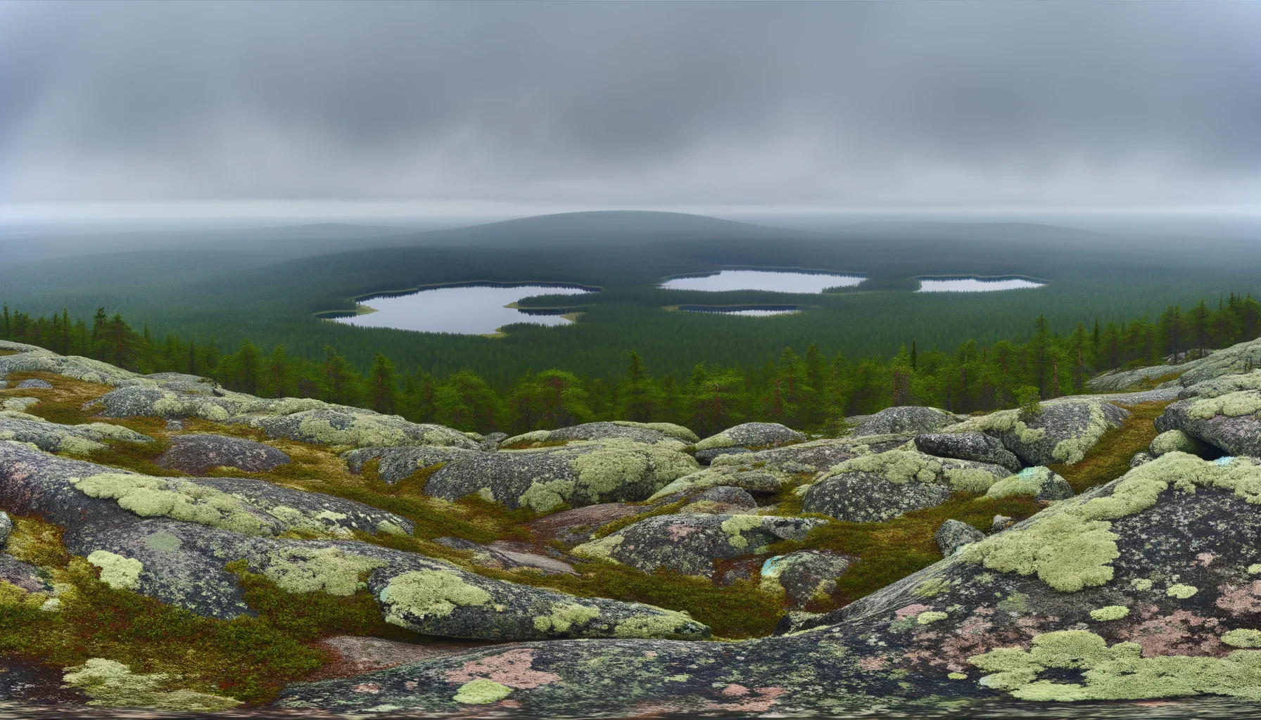 Скальная терраса Воттоваары — гранитный выход с ледниковыми штриховками