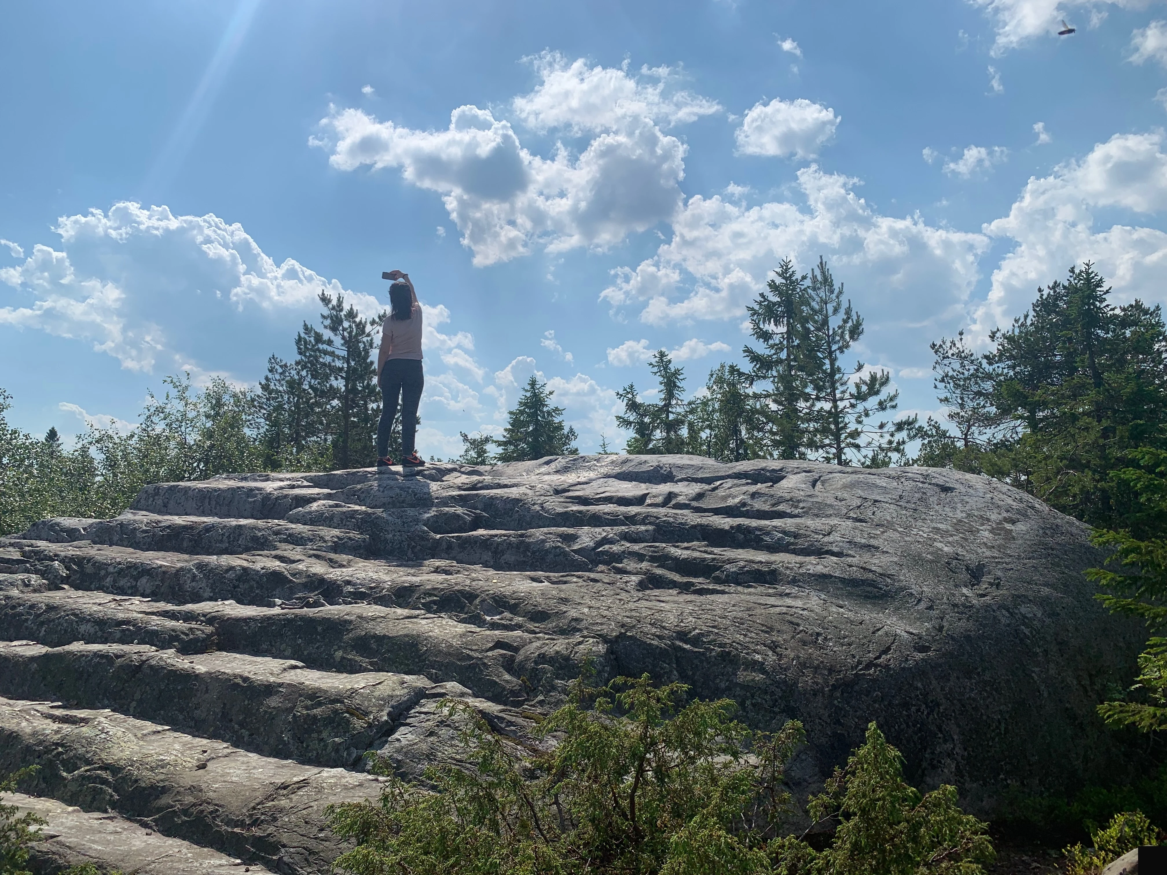 Вид с лестницы на карельский лес